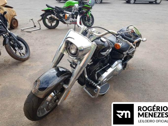 HARLEY DAVIDSON SOFTAIL 20/20